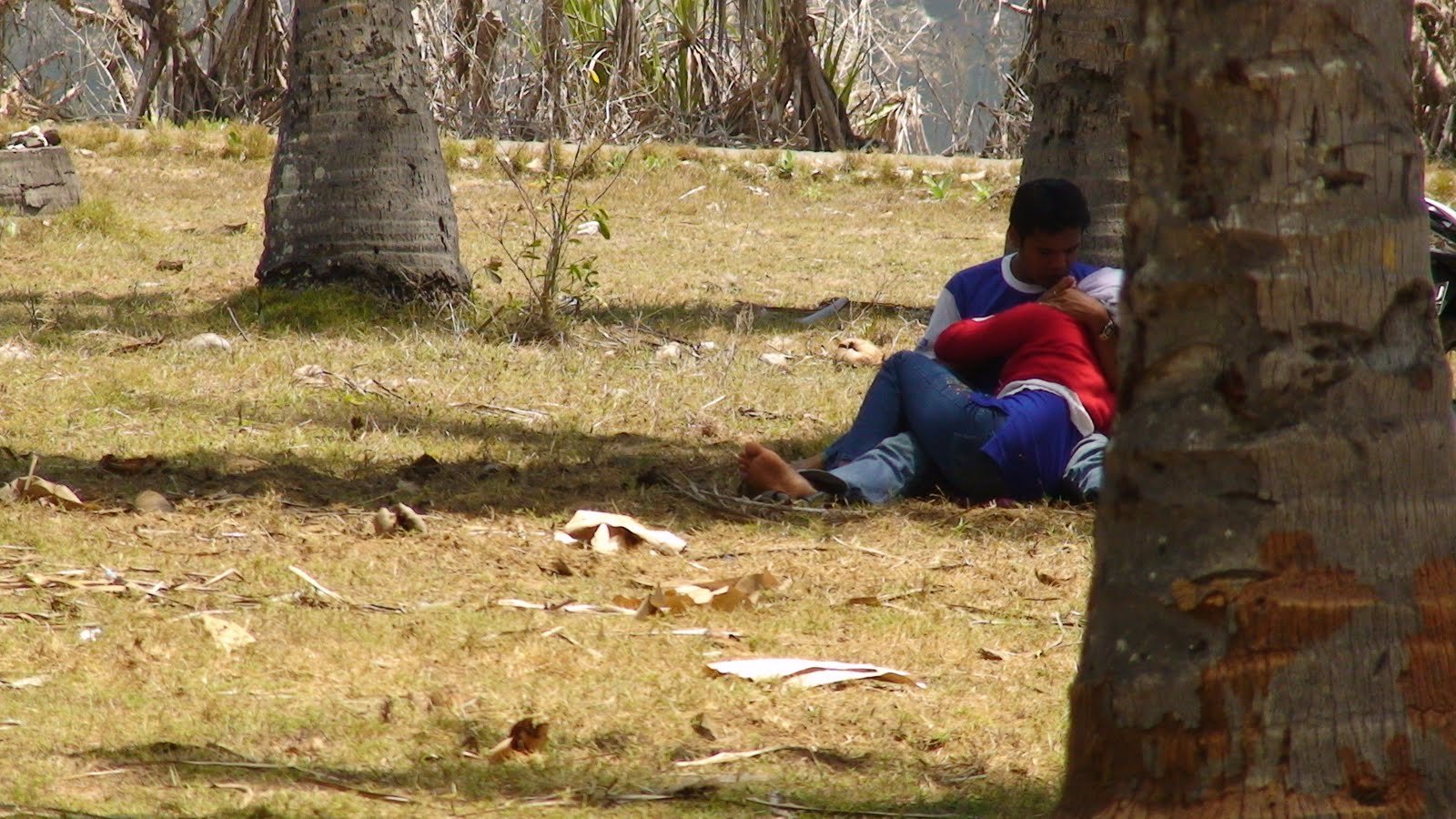 Hijab Jepang Viral Indo Aku Mainin Putingnya Dari Belakang Kebun Sawit Top Global Wikwik 2026